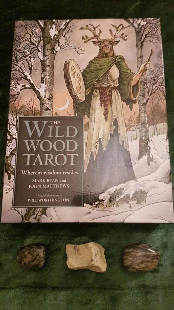 The Wildwood Tarot Wiki My Arcana Amino