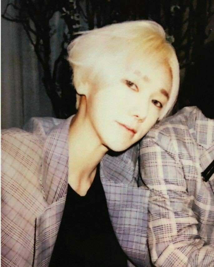 🌻Yesung blonde hair appreciation post 🌻 | Super Junior Amino