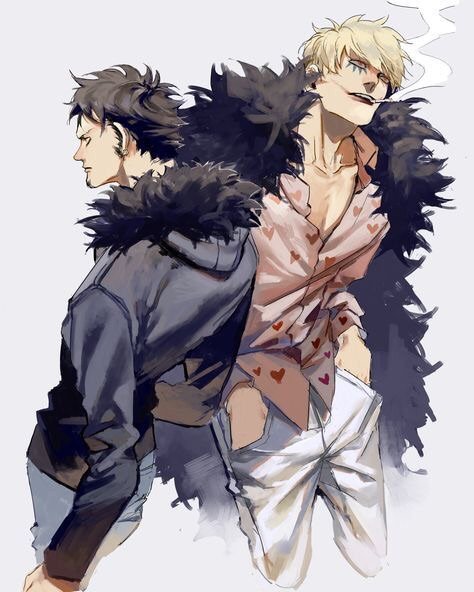 جراح الموت Trafalgar Law Wiki امبراطورية الأنمي Amino