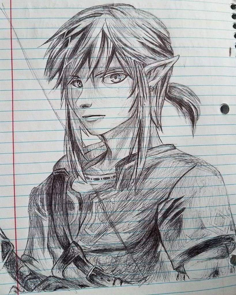 Wild Link Pen Drawing 