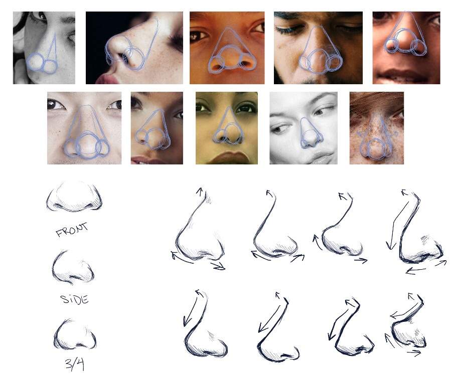 How to Draw Noses! (Animated tutorial!) Illustrations And Animations