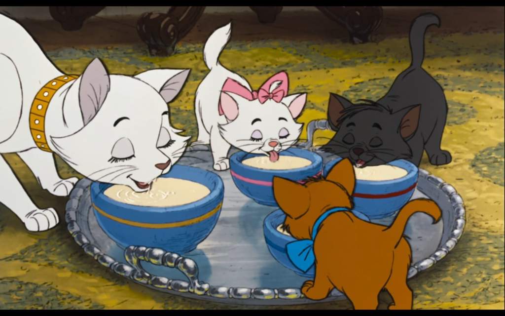 Aristo Cats Aristo Cats