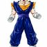 amino-vegeto-1b88f2d9