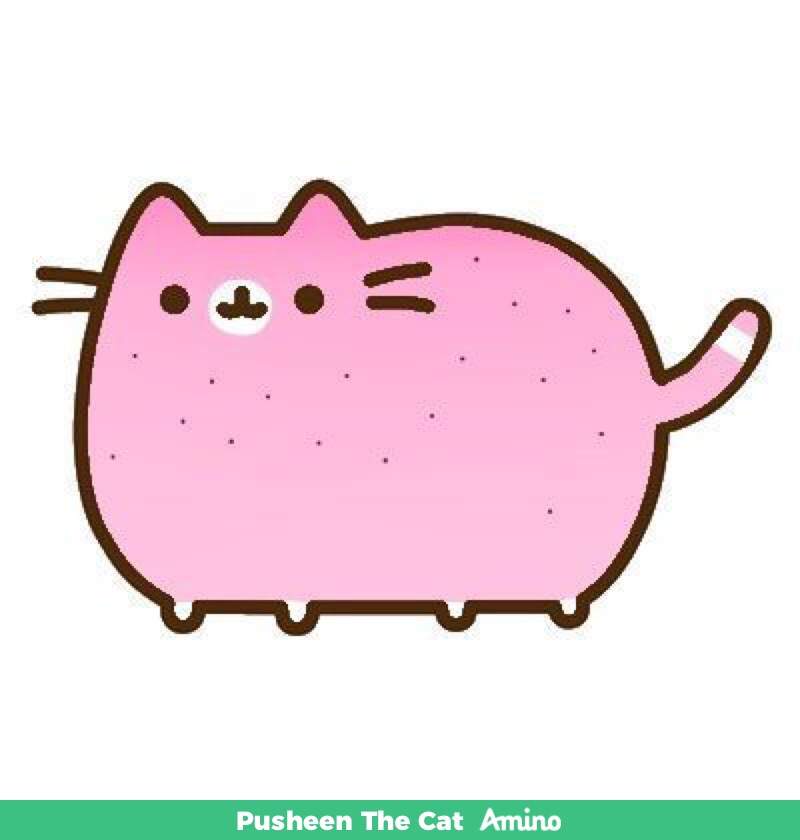 Featured image of post Pusheen Cat Drawing Valentines Day Cat