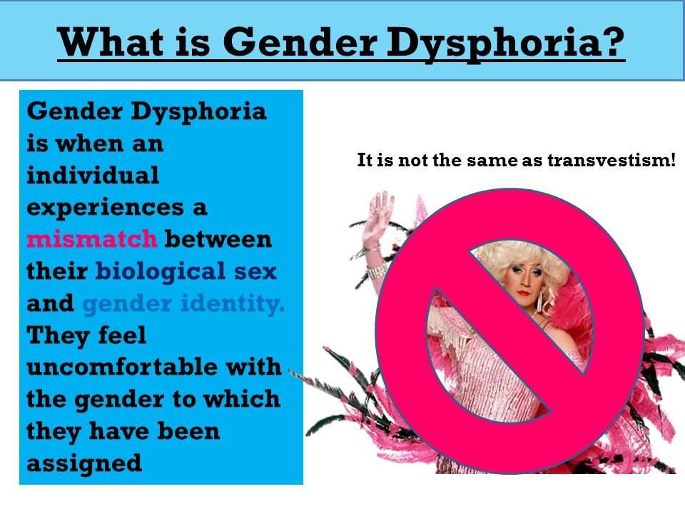 Gender Dysphoria Wiki Lgbt Amino
