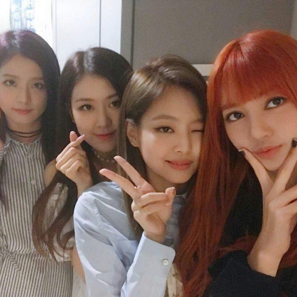 FOND D ECRAN BLACKPINK TROP BEAU | Blink - Fr Amino