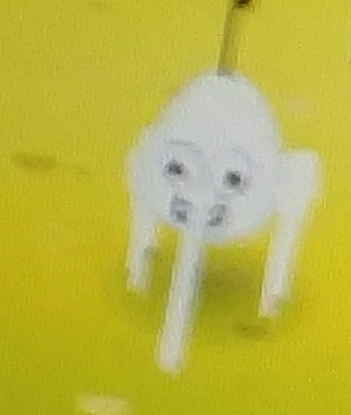 Bin Weevils Dank Memes Amino