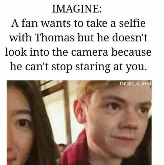 Thomas Brodie Sangster Memes 😍 | Thomas Brodie Sangster Amino