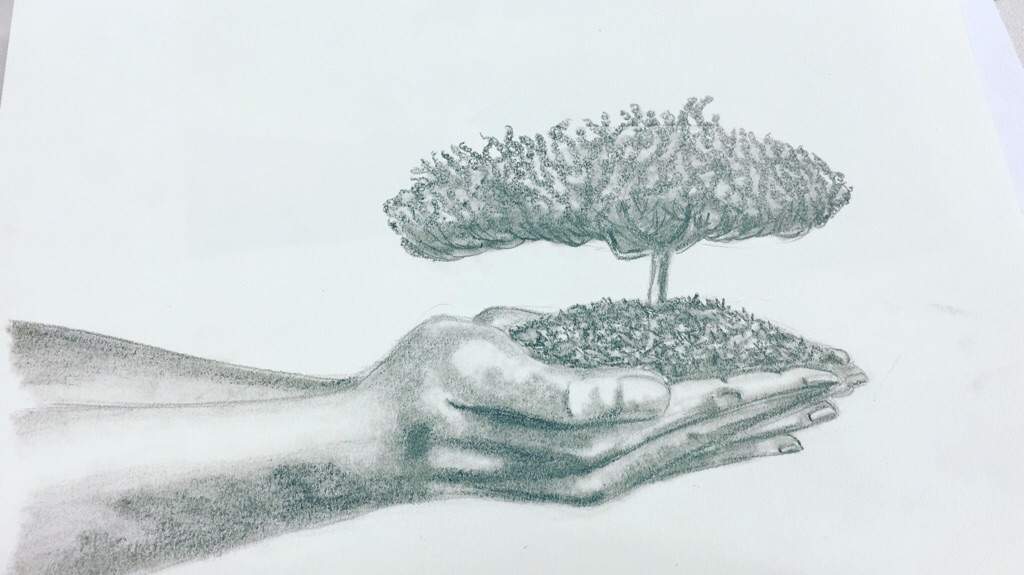 Nature in our | ✐Drawing✎