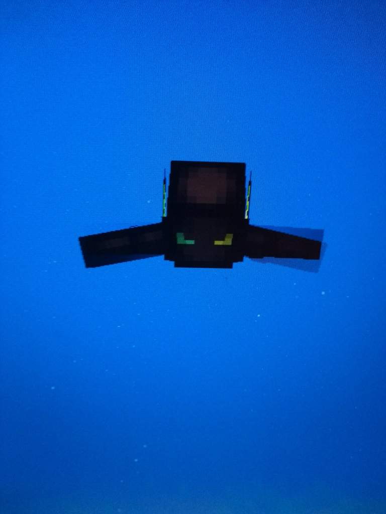 My Opinion on the new Update Aquatic snapshot  Minecraft 