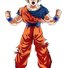 amino-Gohan definitivo-95fd84a2