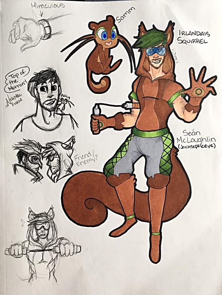 Irlandias Squirrel {Jacksepticeye} | Miraculous Amino