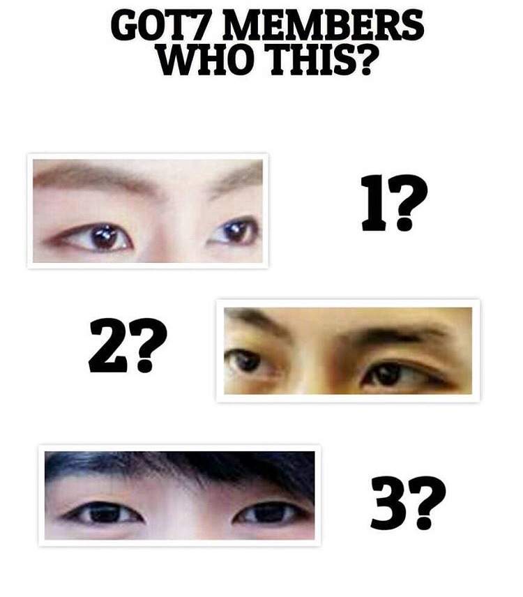 GUESS THE MEMBERS | DAILY Amino