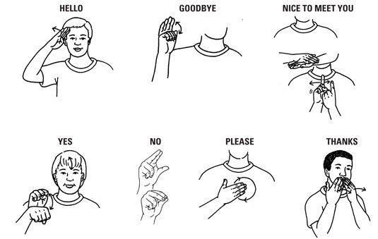 How To Say Hi In Sign Language Auslan