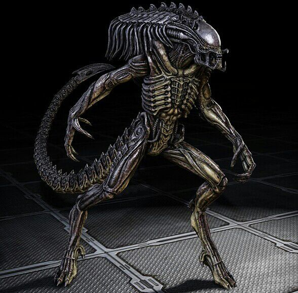 Alien Cangrejo Wiki Alien Vs Predator Universo Amino