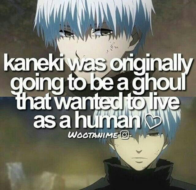 tokyo ghoul sad facts  anime amino