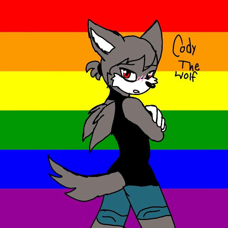 Cody The Wolf | Wiki | Sonic Rp&Art Amino