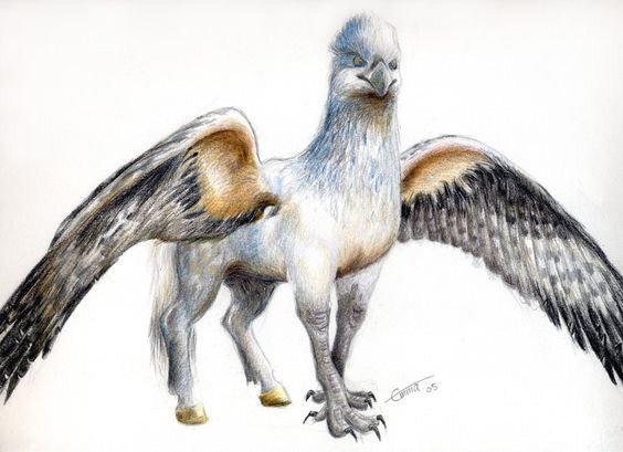 Hippogriff | Wiki | Fantastic Beasts Amino