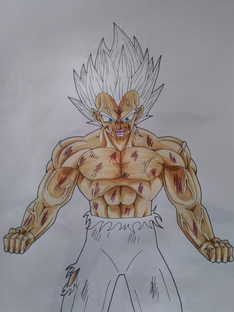 Drawing Vegeta Beyond Super Saiyan Blue Dragonball Su 3849