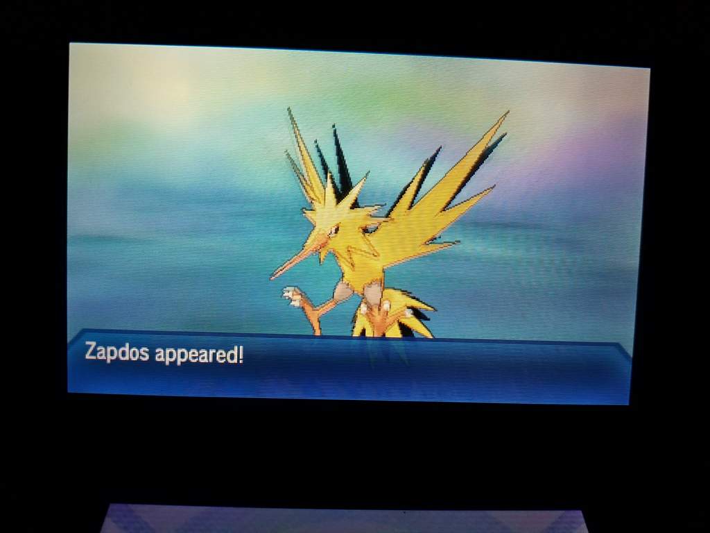 ţempus Shiny Shenanigans 1 Zapdos Pokemon Amino