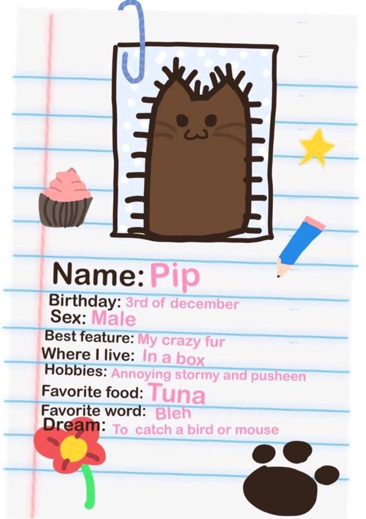 pusheen's little brother pip