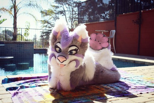 💜Aurora Bloom💜 | Furry Amino