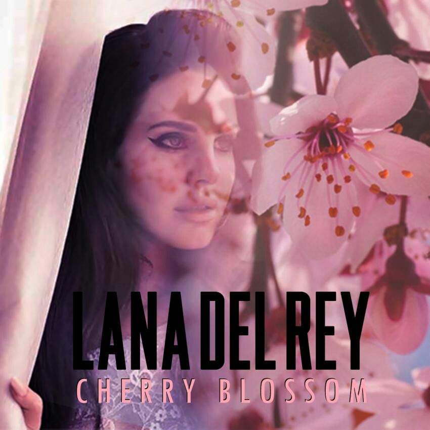 Cherry Blossom | Wiki | Lana Del Bae Amino