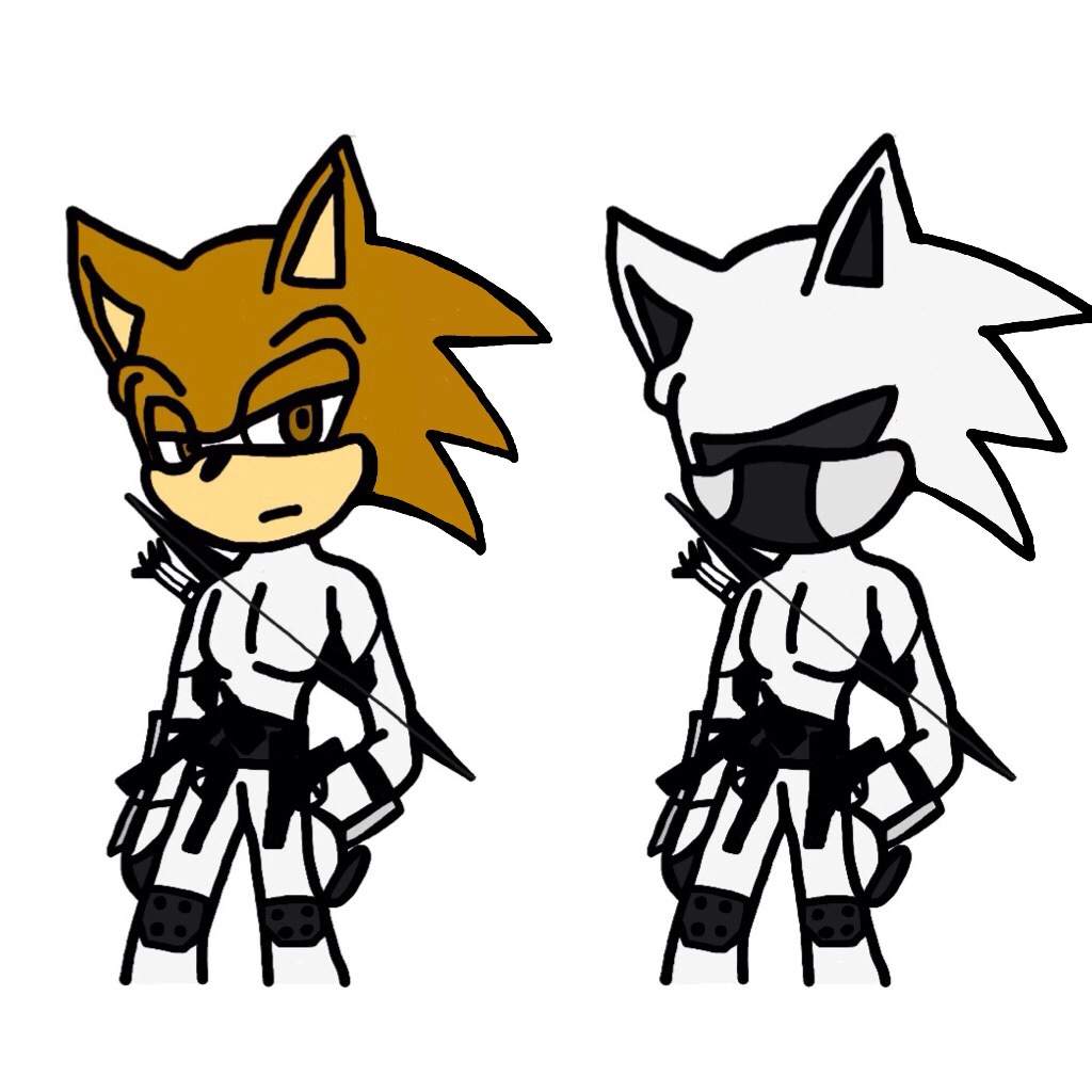Rachtouns Assassin Suit Sonic The Hedgehog Amino