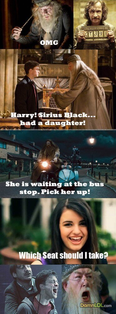 Funny Memes Only True Potterheads Will Understand P Harry Potter Amino