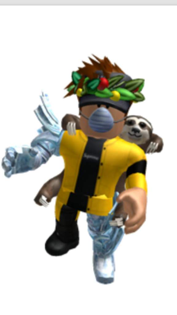 Roblox Skins Images