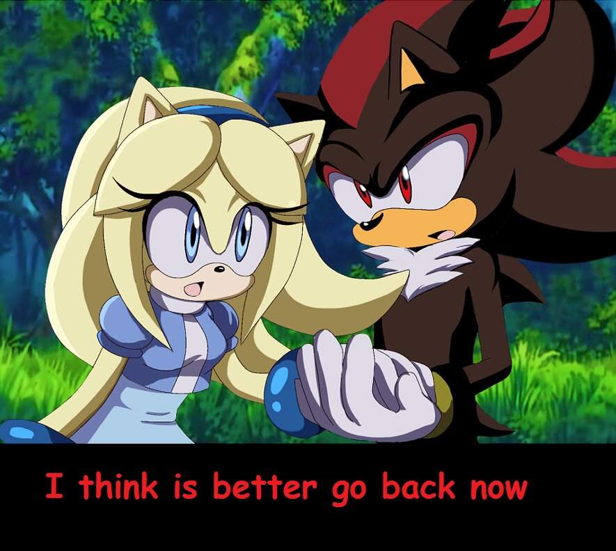 Shadow X Maria Wiki Sonic The Hedgehog Amino