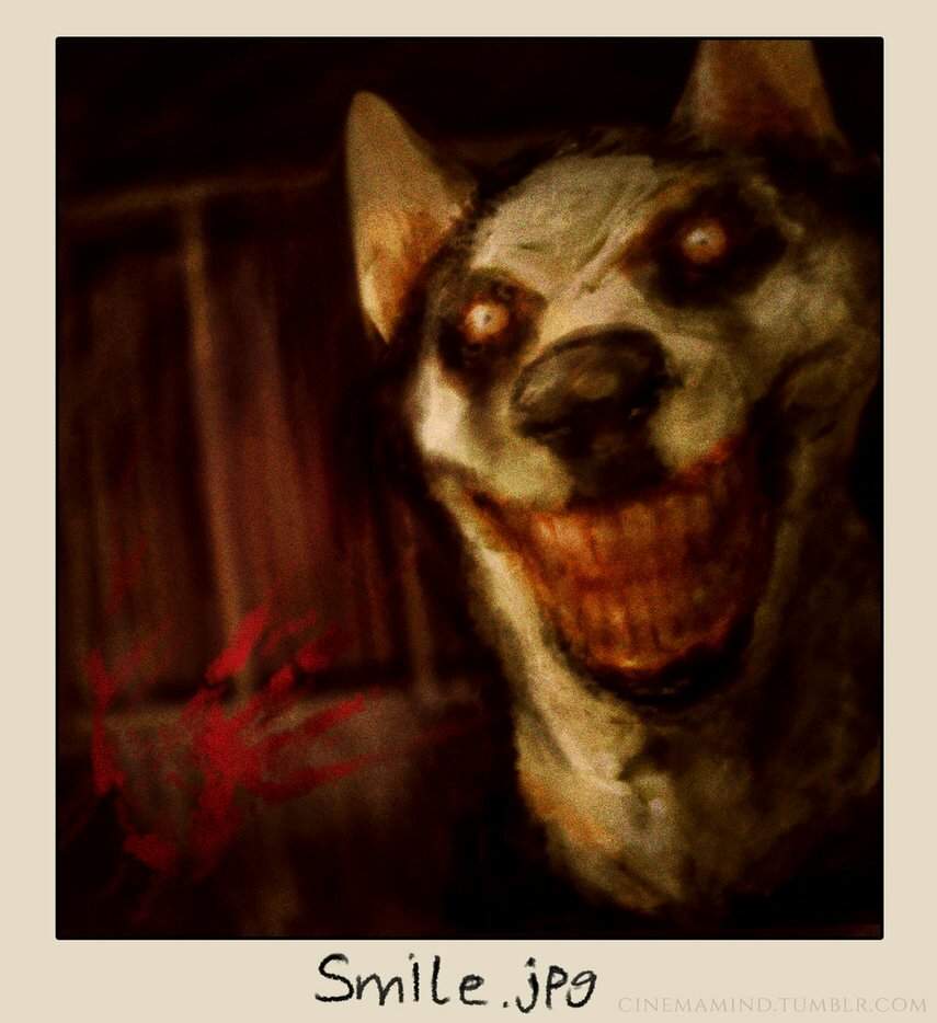 Dog smile Smile Dog