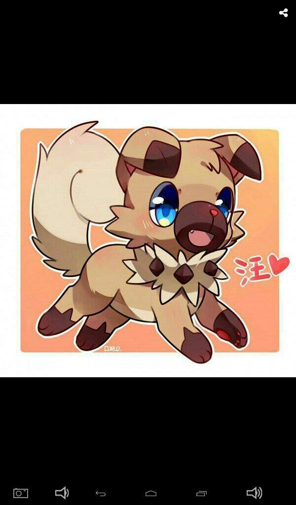 Rockruff Ficha Wiki •pokémon• En Español Amino