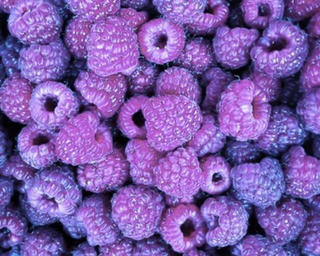 47+ Incredible Aesthetic Lavender Pictures Ideas