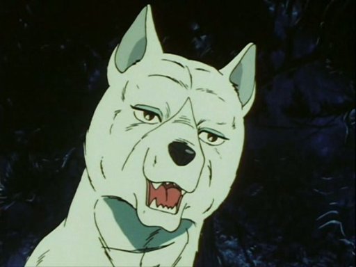 Ginga Nagareboshi Gin (Silver Fang) | Wiki | The Dollars: World Center ...