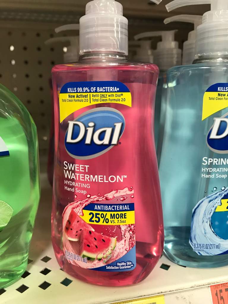 Dial watermelon hot sale