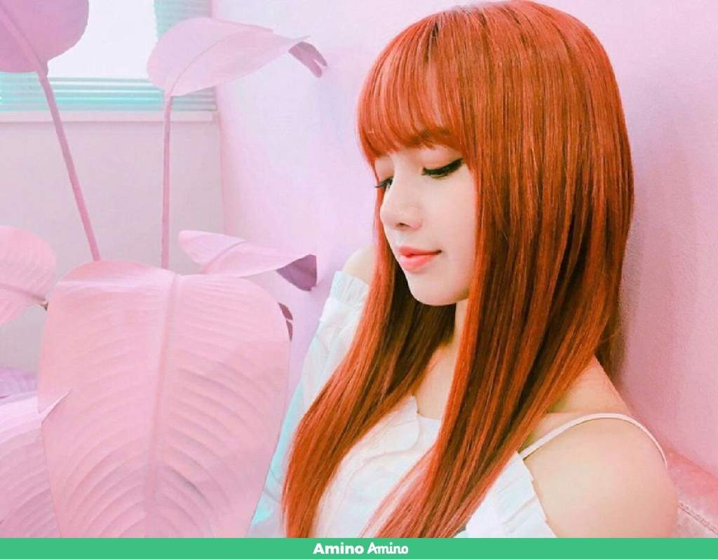 lisa | Wiki | Bts y Blackpink Roles Amino