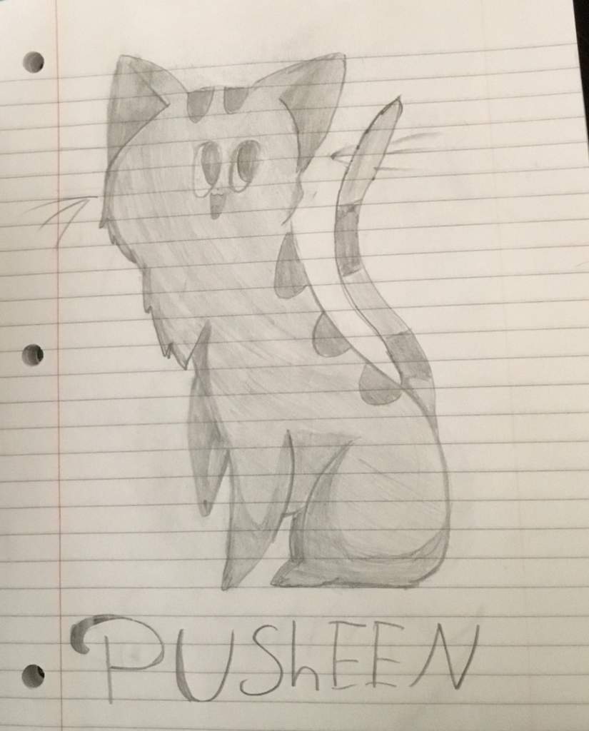 My Pusheen Stormy Pip Drawing Pusheen The Cat Amino Amino