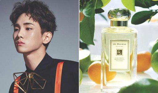 7 Male K Pop Idols Reveal Their Favorite Perfume Kpopmap K Pop Amino