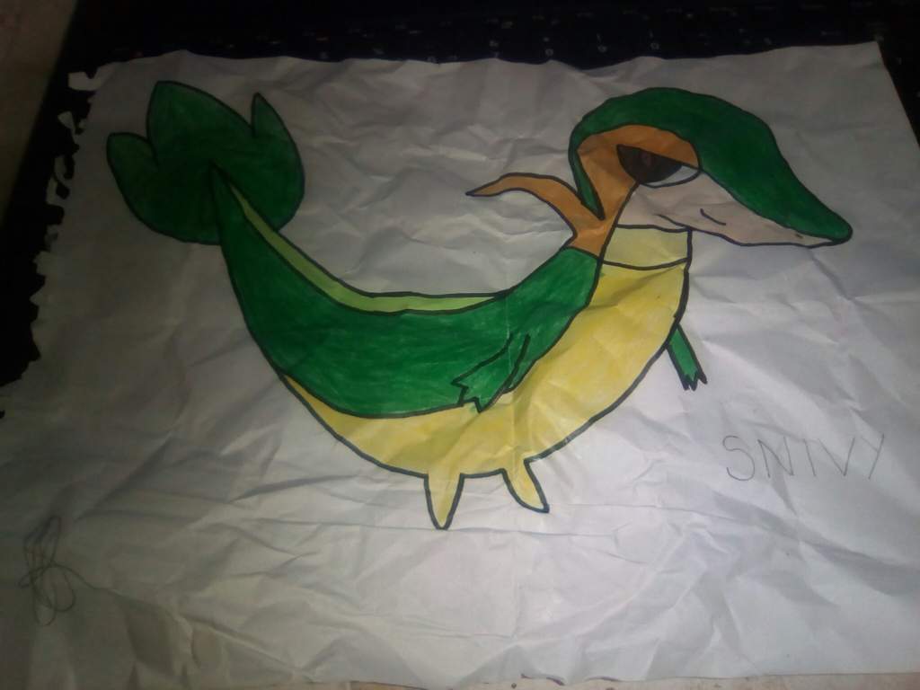 Meu Desenho Snivy Pokemon Amino Em Portugues Amino