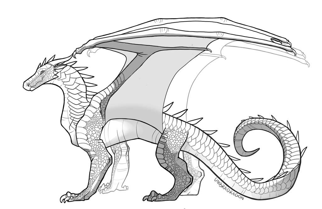 Wings Of Fire Dragon Template