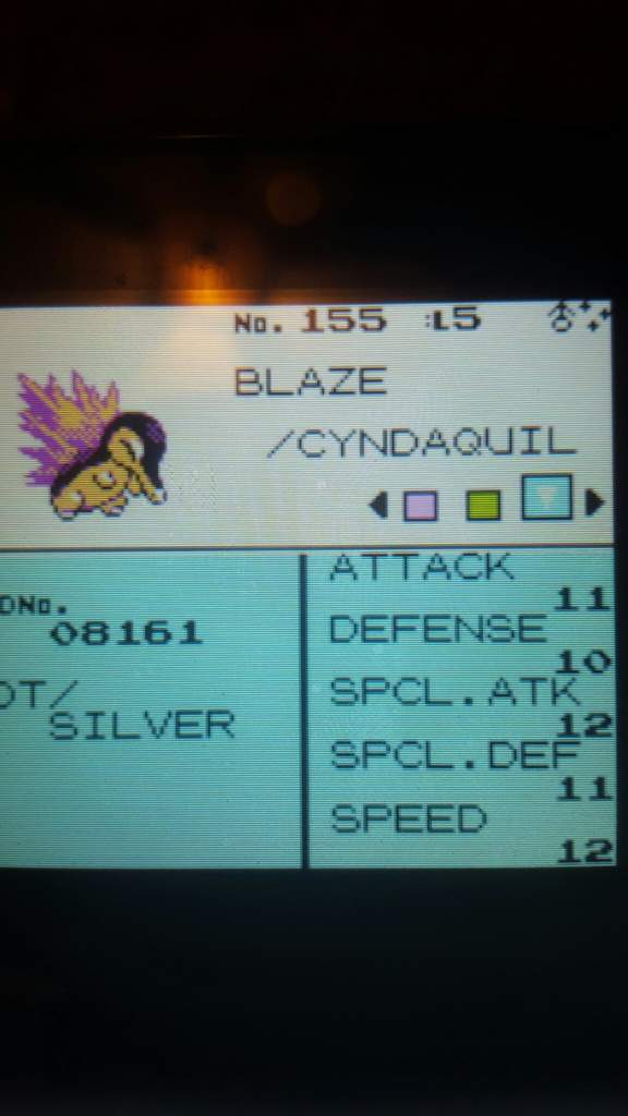 Shiny Cyndaquil After 15 Eggs Pokemon Silver Shiny Pokemon Amino Amino