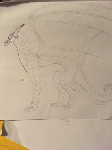 Toucan | Wings Of Fire WOF Amino