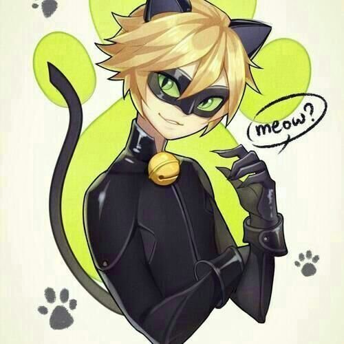 Chat noir | Wiki | •Miraculous Ladybug Español• Amino