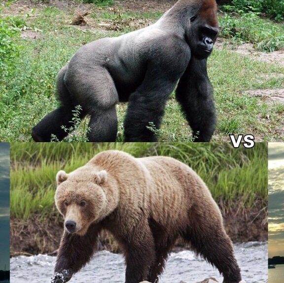 silverback strength vs grizzly