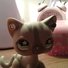 amino-Lovely Kitty LPS-5d4ad3ac