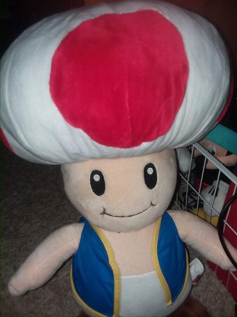 big toad plush