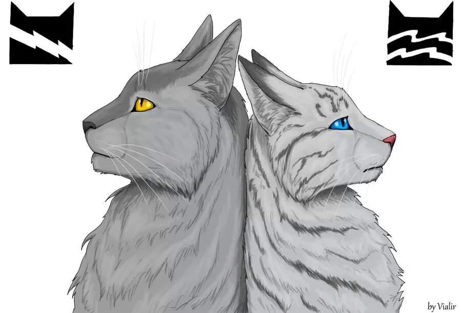 картинки коты-воители серебрянка и крутобок