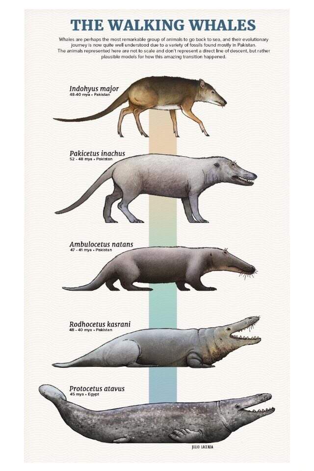 155-newly-identified-genes-reveal-humans-are-continuously-evolving