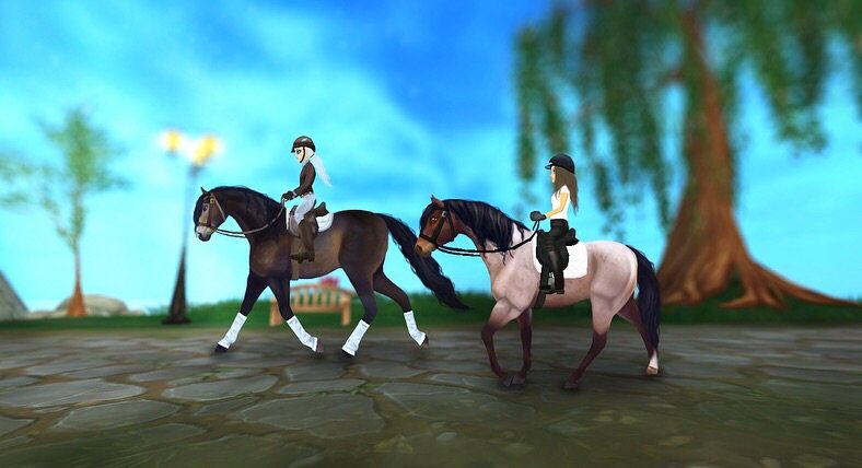 Creative Connemara’s Application | Star Stable Online Amino